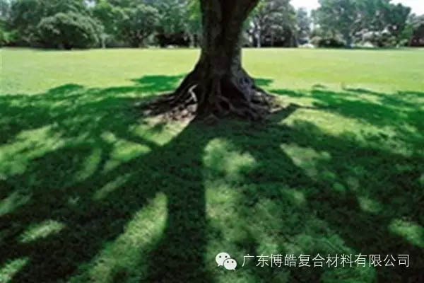 【博皓感悟】欲為大樹，莫與草爭-6