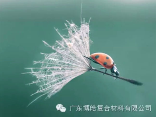 【博皓感悟】成功，要“借力”，不要“盡力”